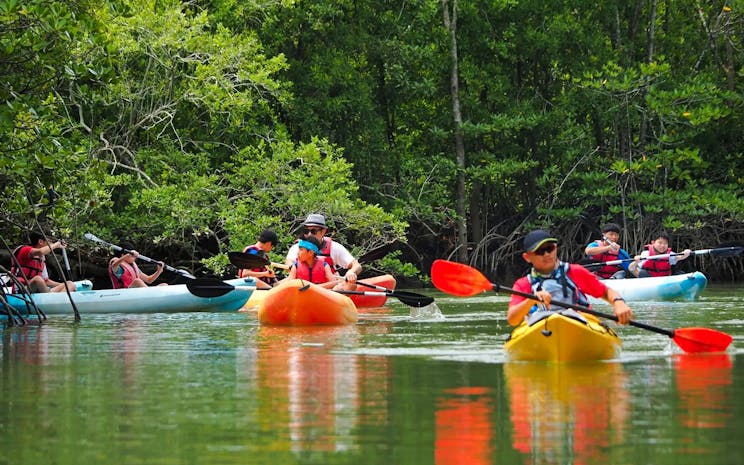 Langkawi Mangrove Kayaking
