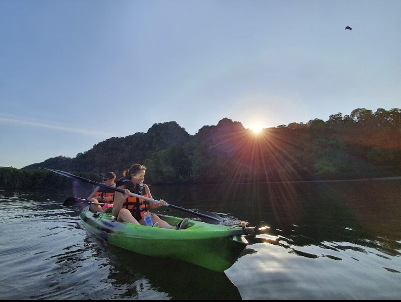 Langkawi Mangrove Kayaking Image 3